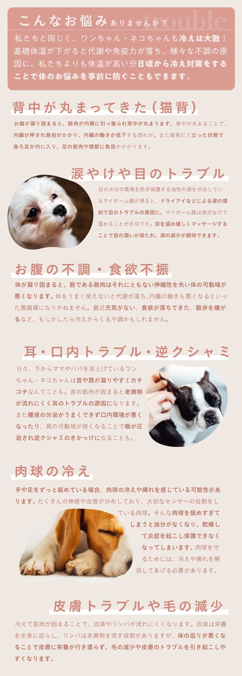 温活ホットパック マハナ-mahana- 丸型