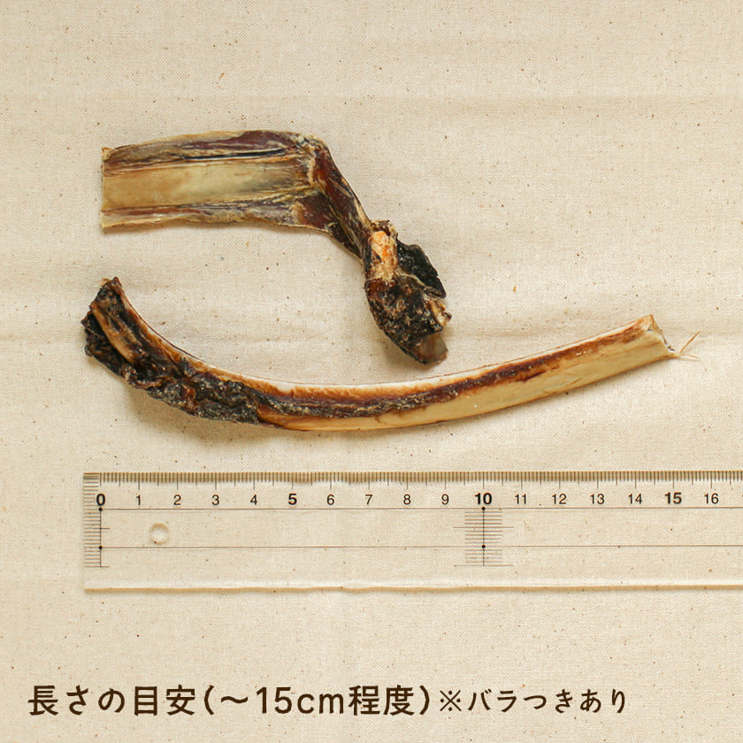 鹿のスペアリブ 100g