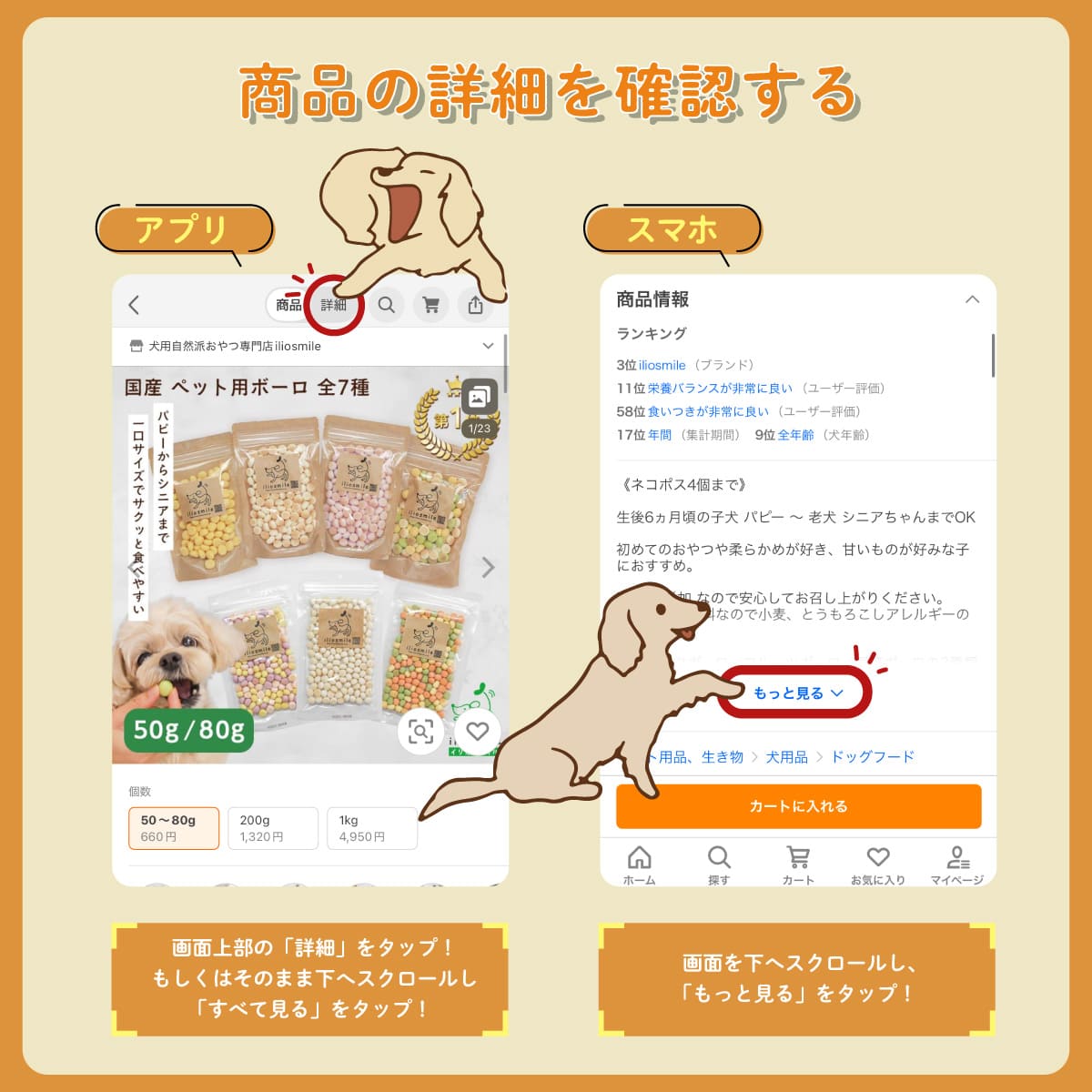 ビオリオーブ ディッシュ+期間限定 （犬用） 120g×20袋アソートセット