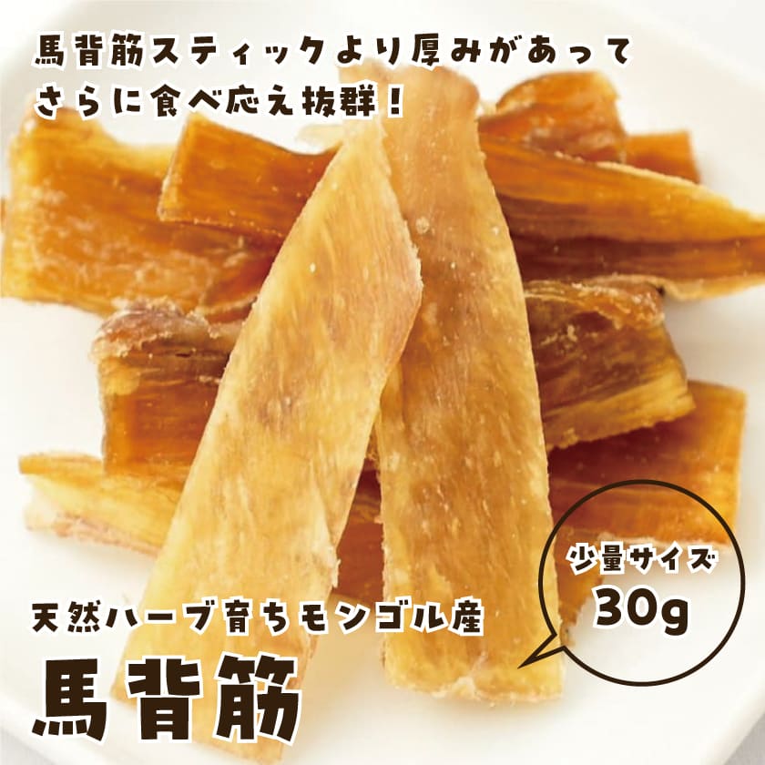 “馬背筋