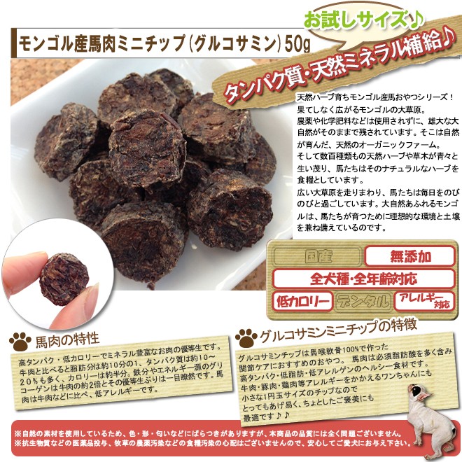 即納 最大半額 犬 おやつ 低脂肪 無添加 天然ハーブ育ちモンゴル産馬肉ミニチップ レバー 50g イリオスマイル ポイント消化 Shipsctc Org