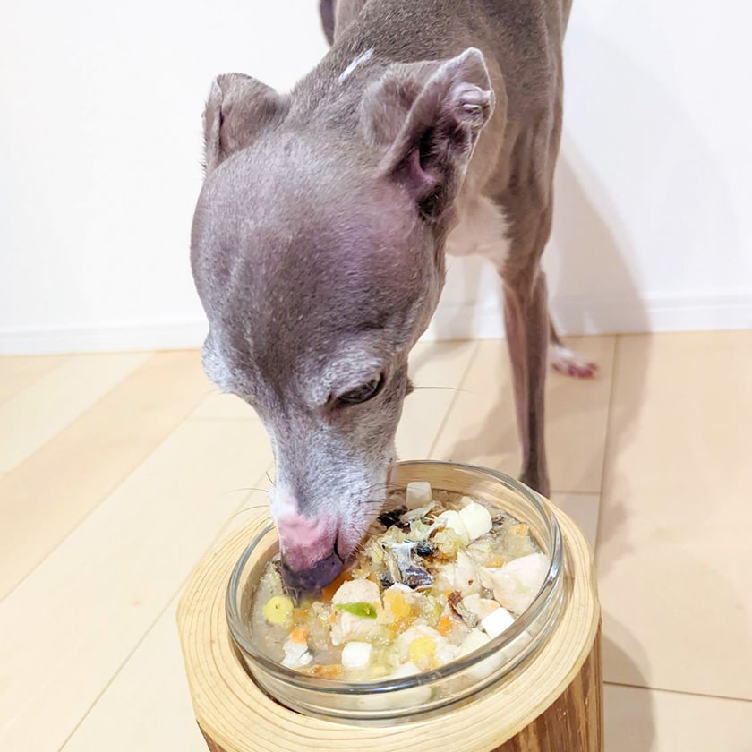 国産 フリーズドライ 豆腐 50g