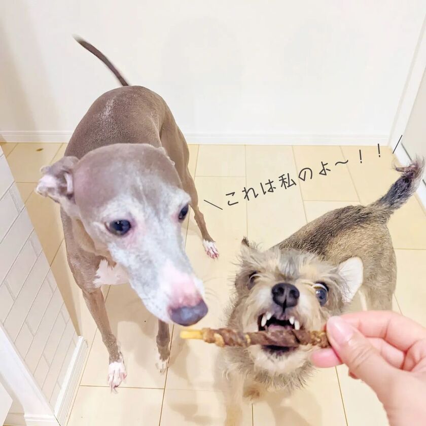 馬肉巻き背筋スティック