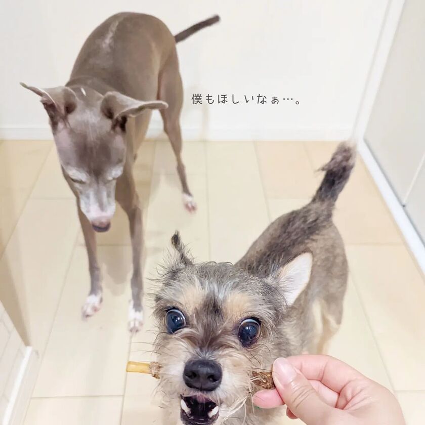 馬肉巻き背筋スティック