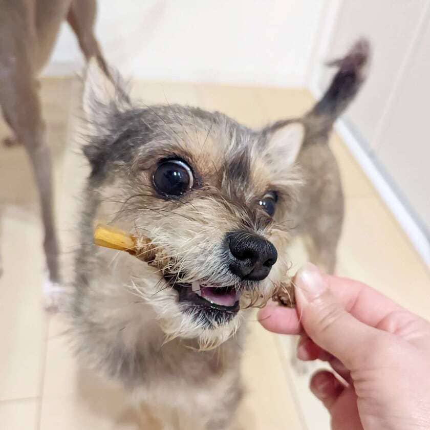 馬肉巻き背筋スティック