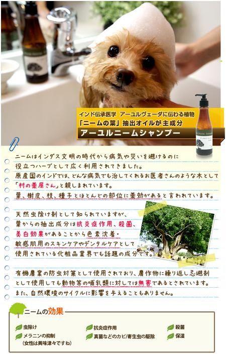 犬 シャンプー 低刺激 アレルギー 無添加 ニームアロマシリーズ アーユルニームシャンプー 0ml イリオスマイル ポイント消化 Neem01 犬用自然派おやつ専門店iliosmile 通販 Yahoo ショッピング