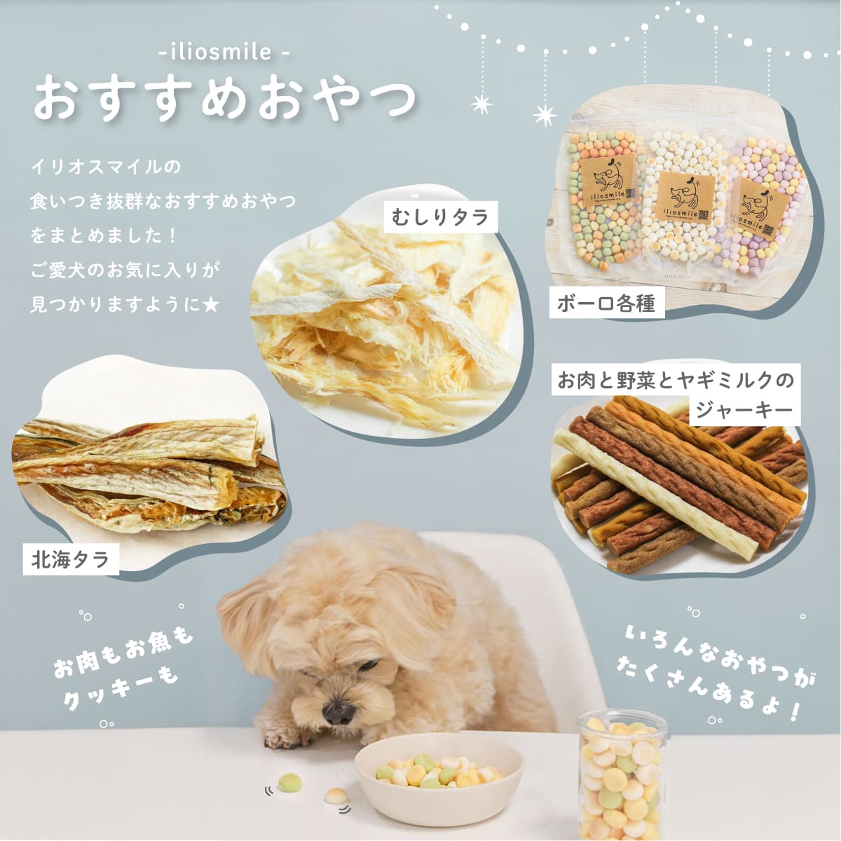 フィッシュ4 無添加 ドッグフード グレインフリー 魚 FISH4DOGS ファイ