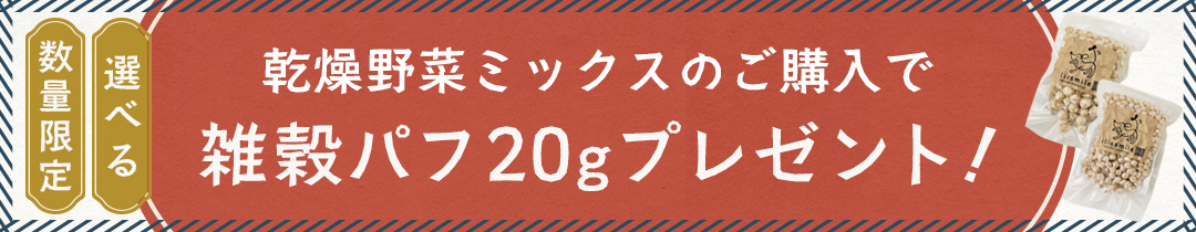 ѥեץ쥼ȥڡ