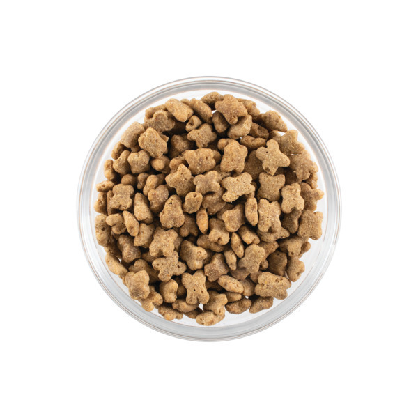 NOW FRESH ナウフレッシュ グレインフリー 小粒 スモールブリード