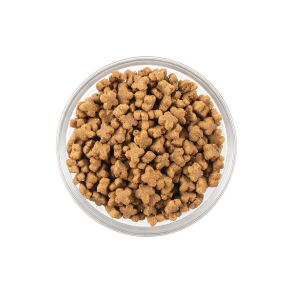 ナウフレッシュ　Now ペットフード　スモールブリード　アダルト　ご飯　犬 ナウフレッシュ グレインフリー アダルトキャット（成猫用