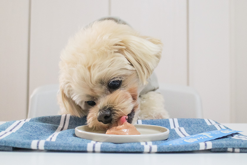 Yum Yum Yum! ふんわりソース仕立て マグロ