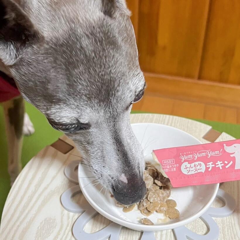 Yum Yum Yum! ふんわりソース仕立て チキン