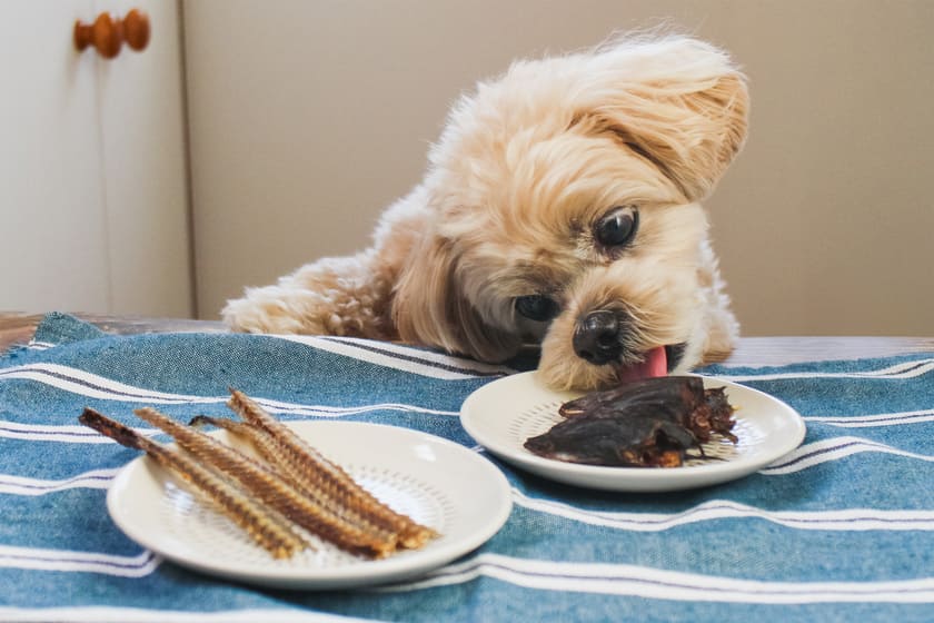うなぎのかぶと焼き