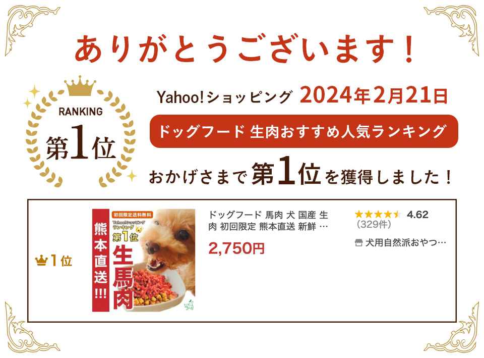 Yahoo!ランキング上位