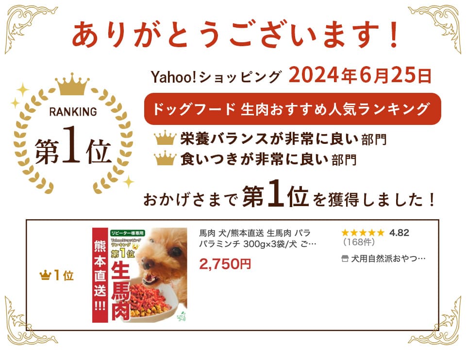 Yahoo!ランキング上位