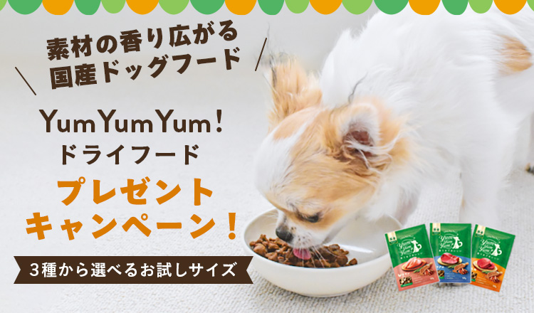 YumYumYum!シリーズプレゼントキャンペーン