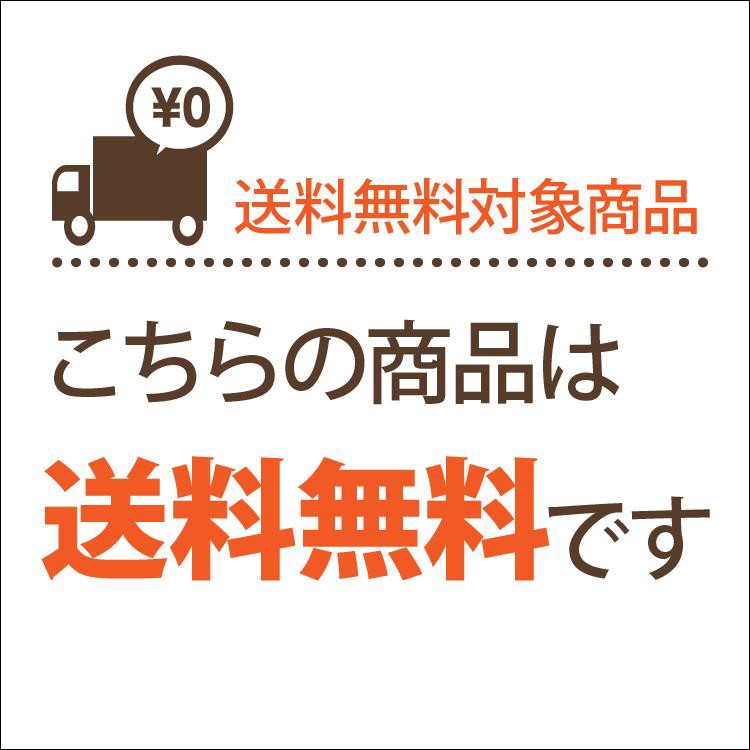 送料無料