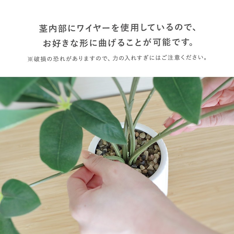 観葉植物 パキラ フェイクグリーン 人工観葉植物 造花 お手入れ不要 水