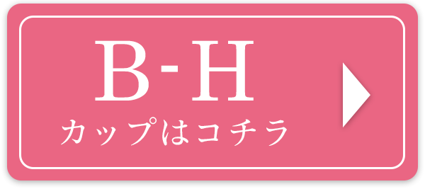 B-Hカップはコチラ