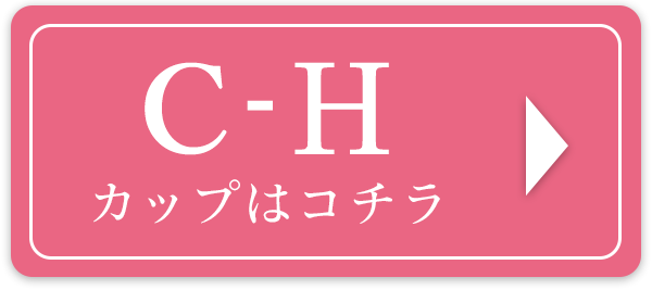 C-Hカップはコチラ