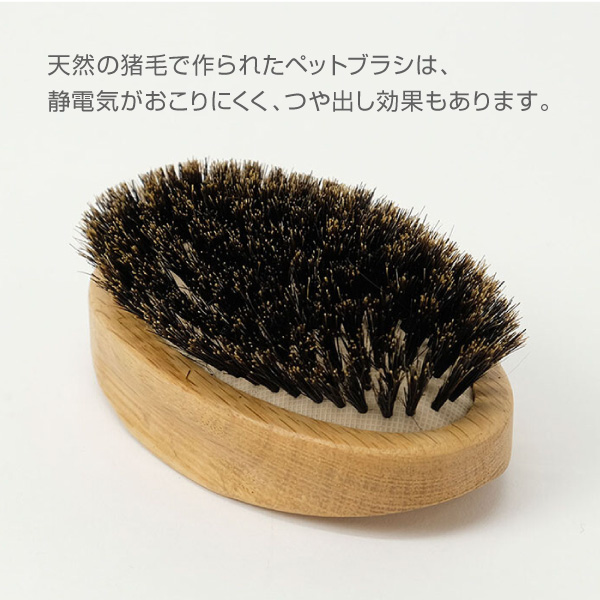 ペット用ブラシ ネコ 猫用 猫ぶらし 短毛 長毛 ブラッシング おしゃれ