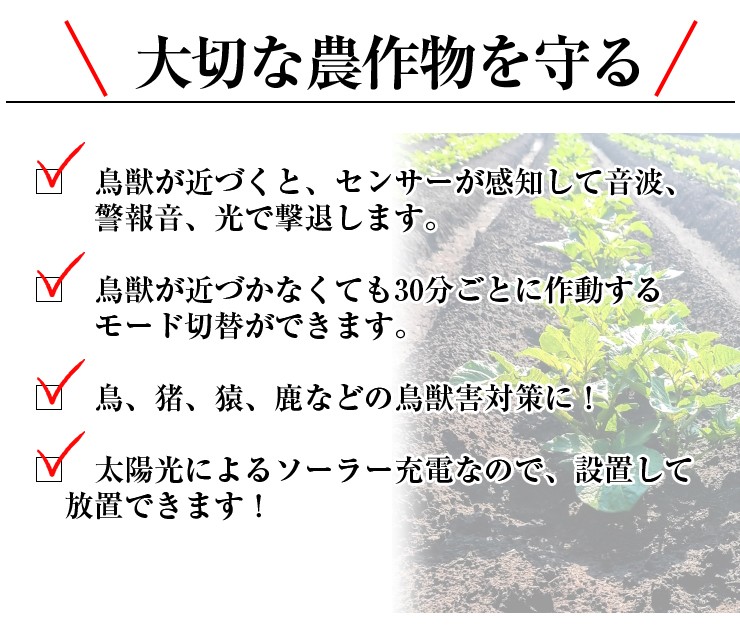 鳥獣ブロック