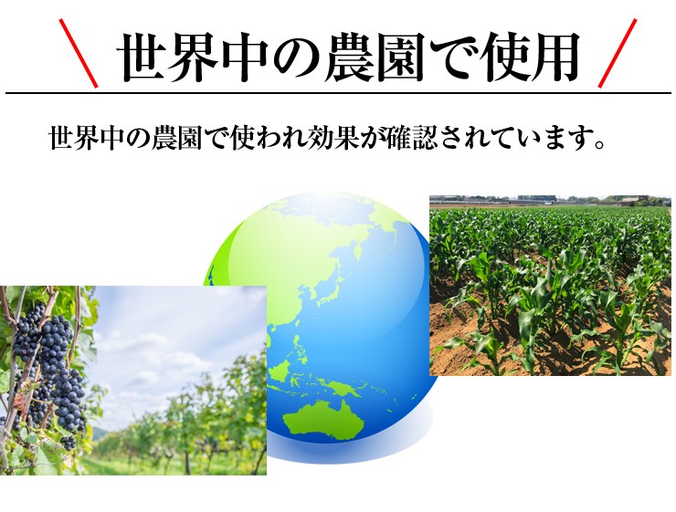 鳥獣ブロック