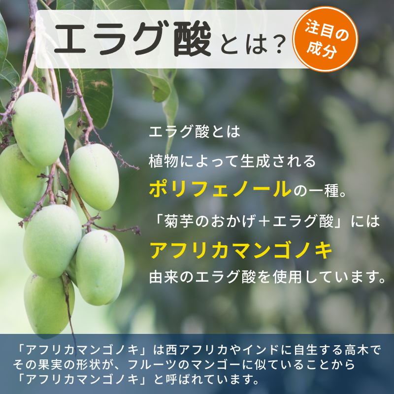 菊芋のおかげ+エラグ酸（粒タイプ）30日分 血糖値 脂肪 イヌリン