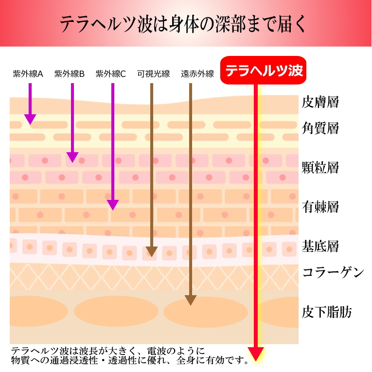 TBパワーパッチ