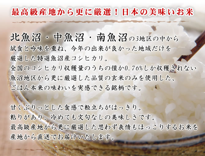 お米 魚沼産コシヒカリ 特選 お試し 300g×3袋 令和5年産 送料無料ゆう