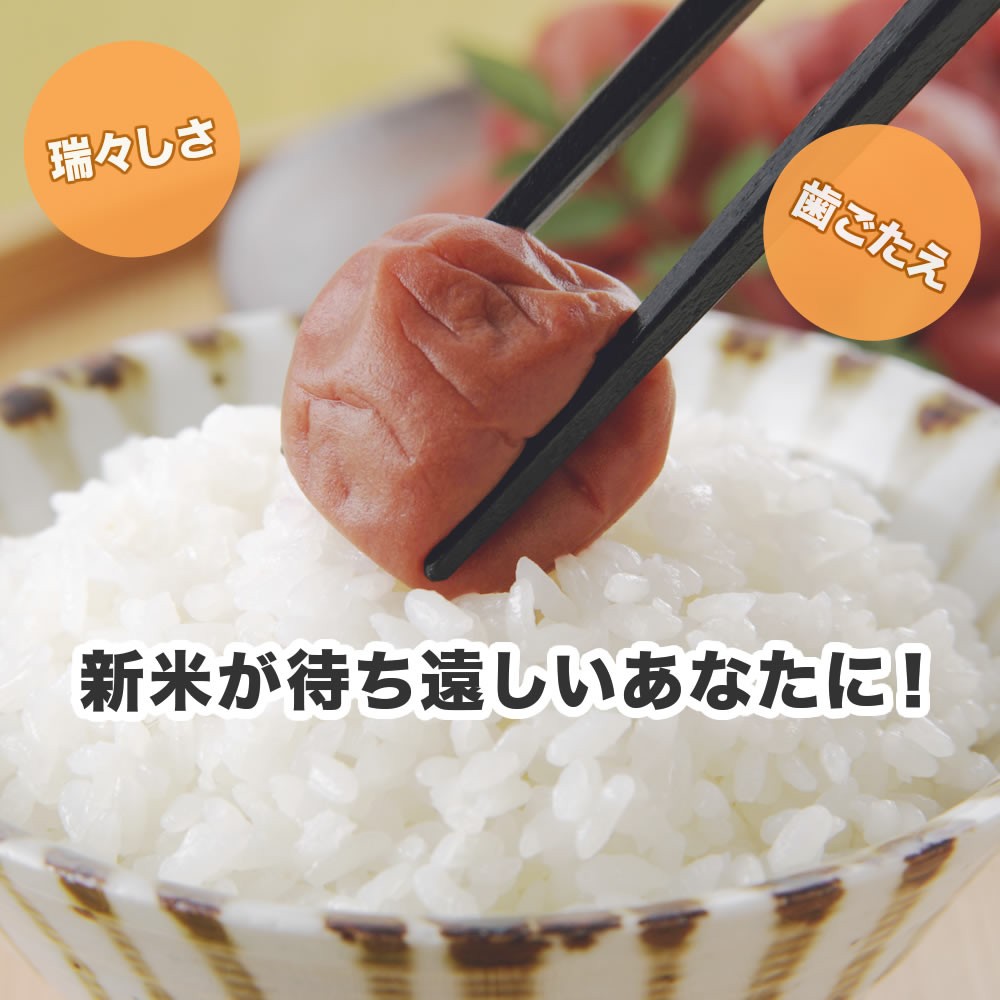 ご飯の写真