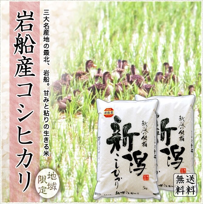 新米】令和5年産 お米 5kg 長岡産コシヒカリ 新潟産 送料無料 （北海道