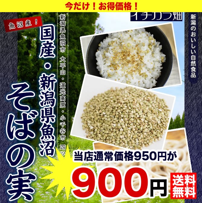 モデル着用＆注目アイテム 晃栄産業 Yahoo 店NOGA アジミュット