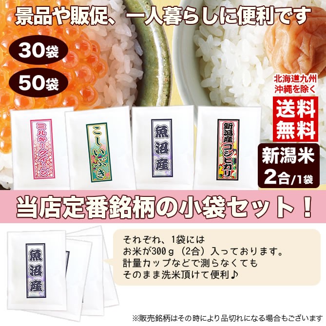 お米 セット 魚沼産コシヒカリ 令和4年産 300g×30袋送料無料（北海道、九州、沖縄除く）