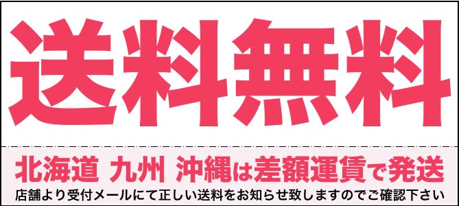 送料無料（北海道九州沖縄除く）