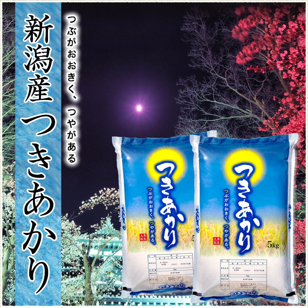 5kg 新潟産 つきあかり お米 令和5年産 送料無料（北海道、九州、沖縄