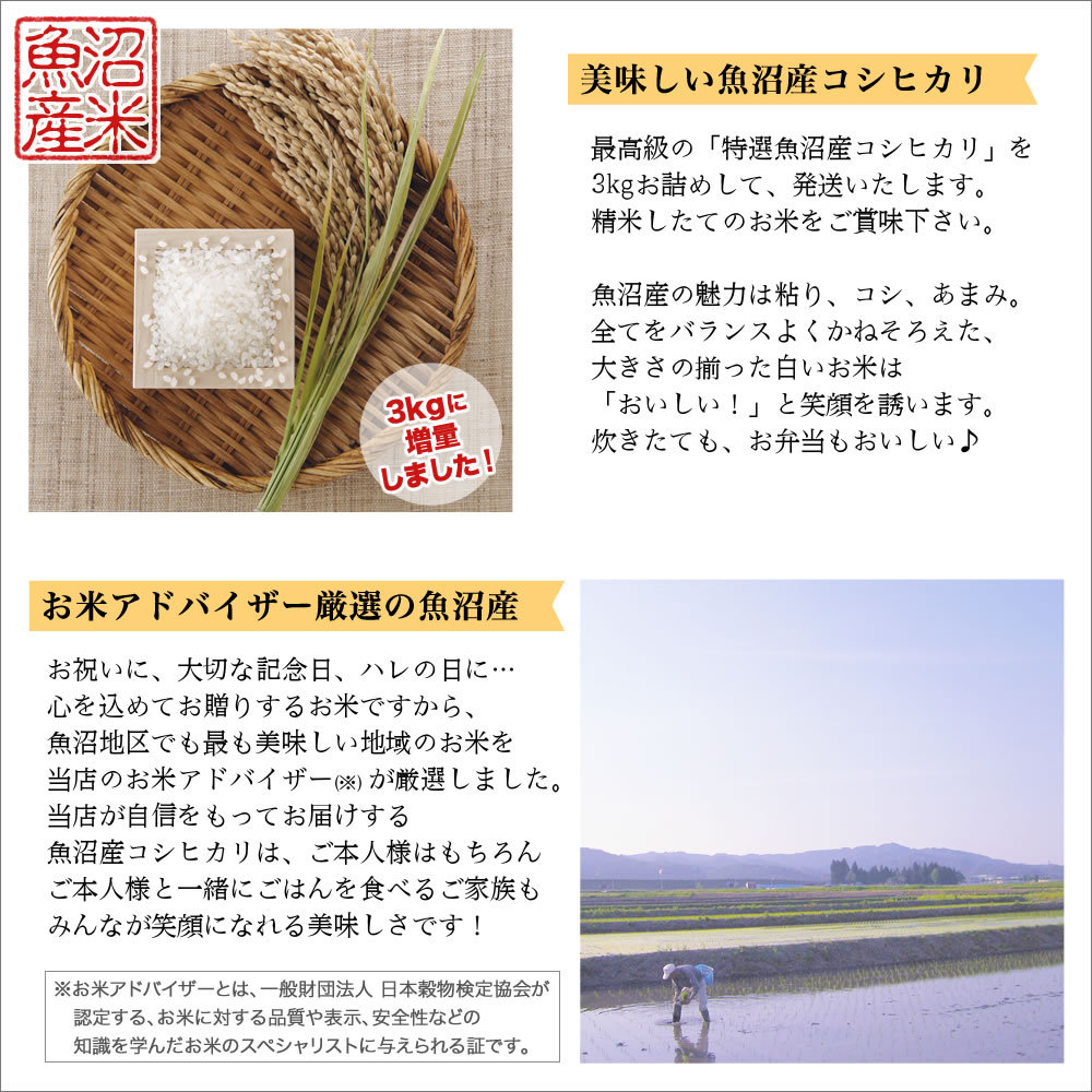 コシヒカリ 名入れ可能 お米の感謝状 令和6年産 新潟 米 魚沼産