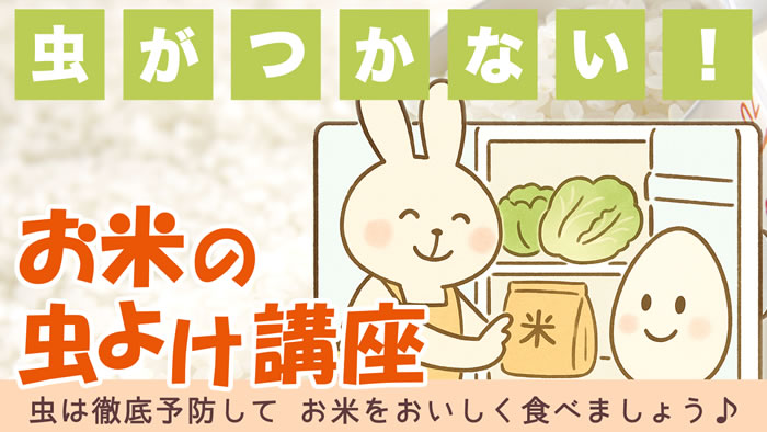 お米の虫対策・虫よけ講座