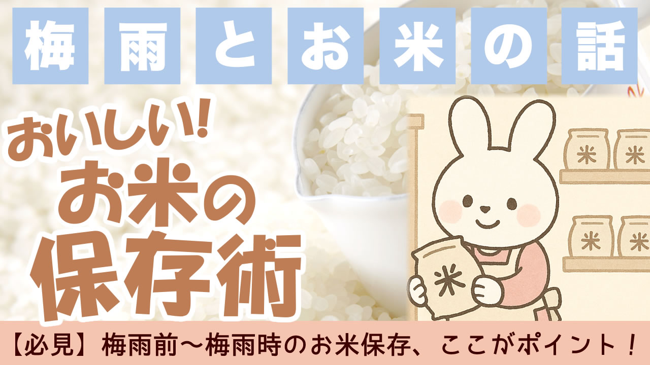 お米の保存方法・冷蔵保存術