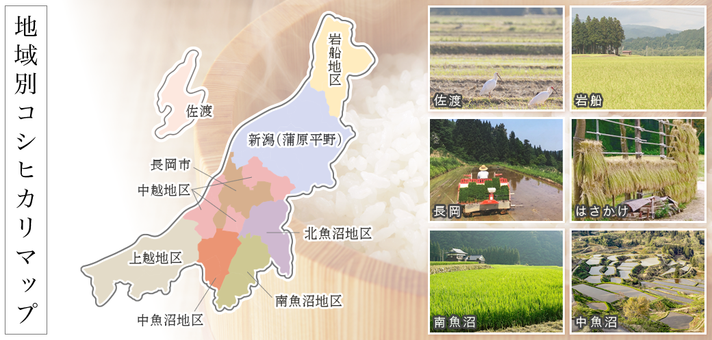 新潟産コシヒカリ 地域別マップ
