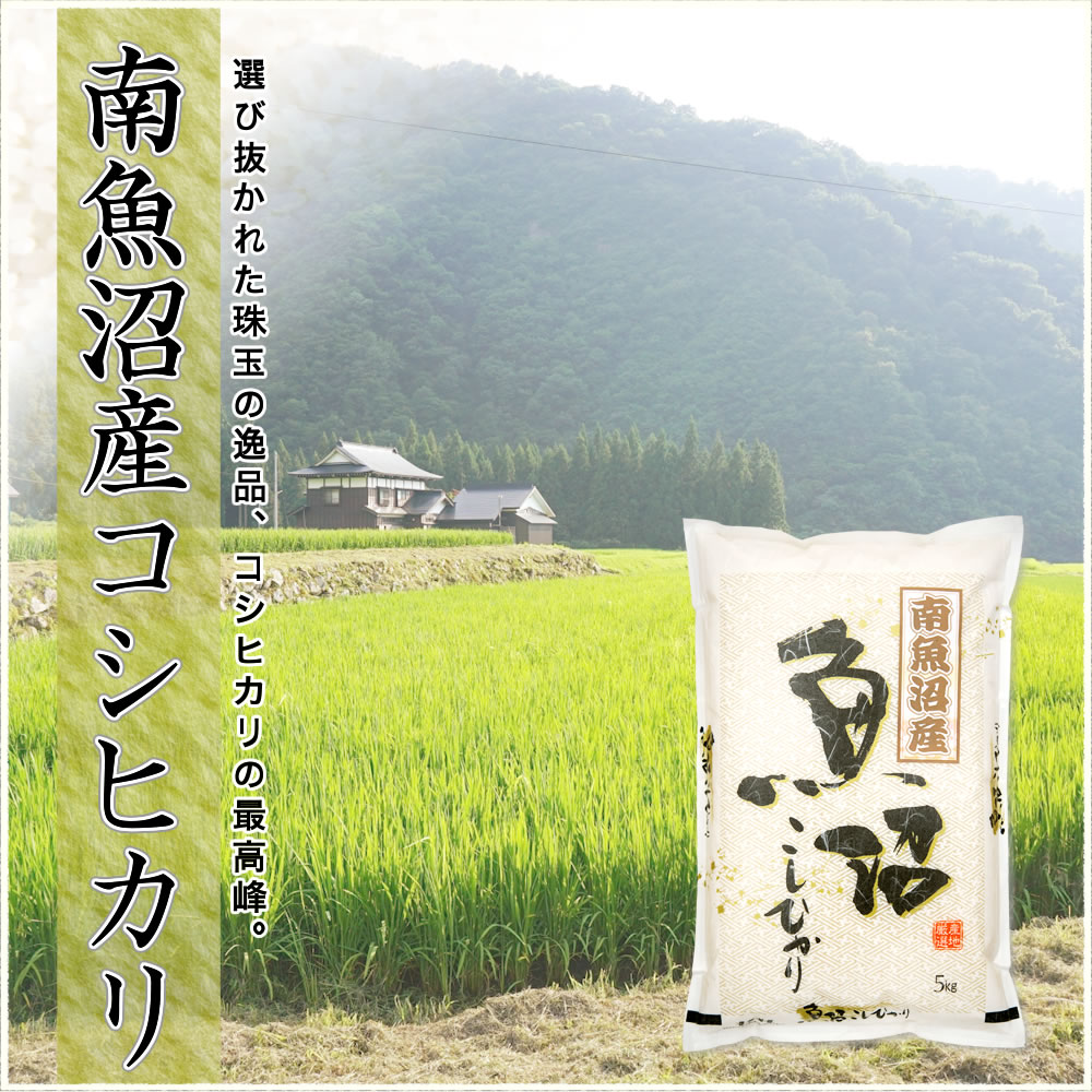 コシヒカリ 令和7年産 新潟県 南魚沼産 5kg 米 : お米プラザ新潟Yahoo