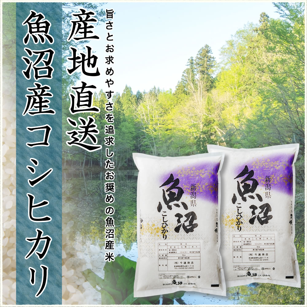 ライオン！魚沼産コシヒカリ 10キロ 令和6年産】 魚沼産コシヒカリ 10kg 精米 商品詳細｜株式