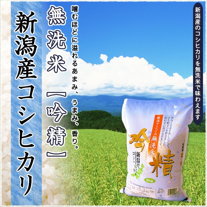 コシヒカリ 無洗米 令和7年産 新潟産 こしひかり 5kg 吟精 送料無料
