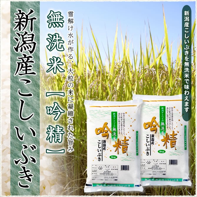こしいぶき 無洗米 令和7年産 新潟産 5kg 吟精 送料無料 (北海道