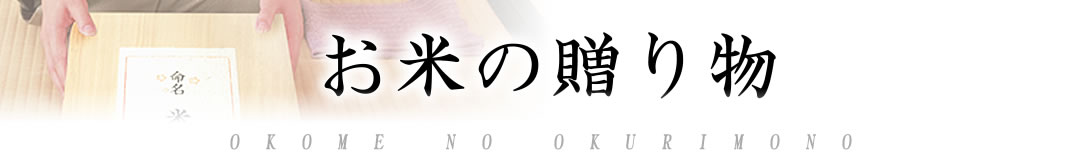 お米 ギフト のし 内祝い