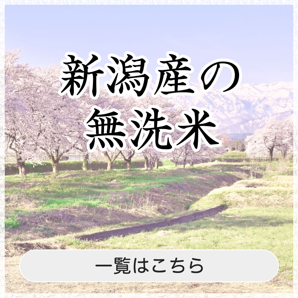 新潟の無洗米