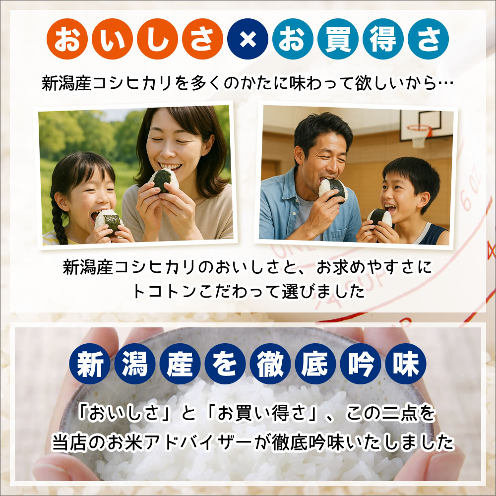 コシヒカリ 新潟産コシヒカリ 山並 5kg お米 令和6年産 送料無料