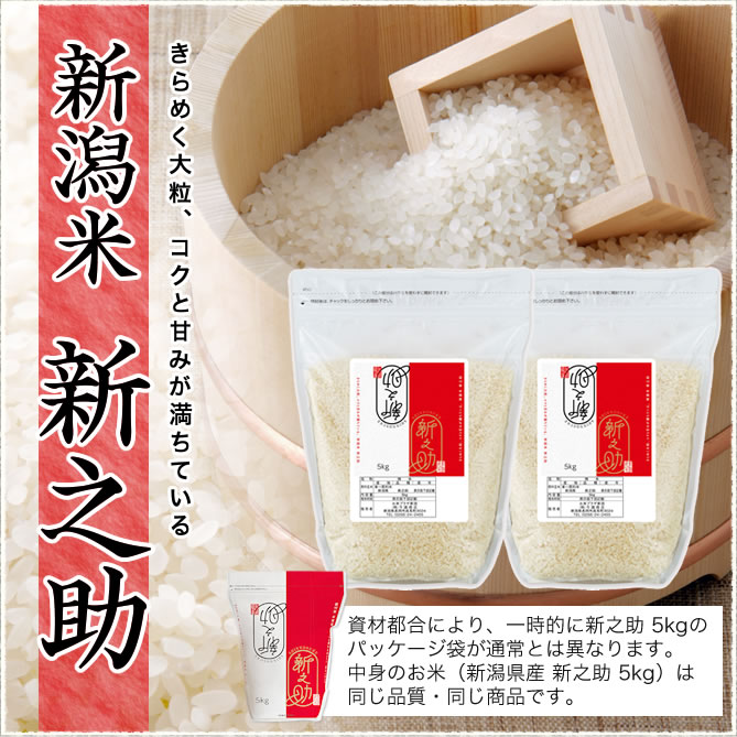 新之助（しんのすけ） 令和7年産 新潟産 10kg(5kg×2袋) 米 チャック
