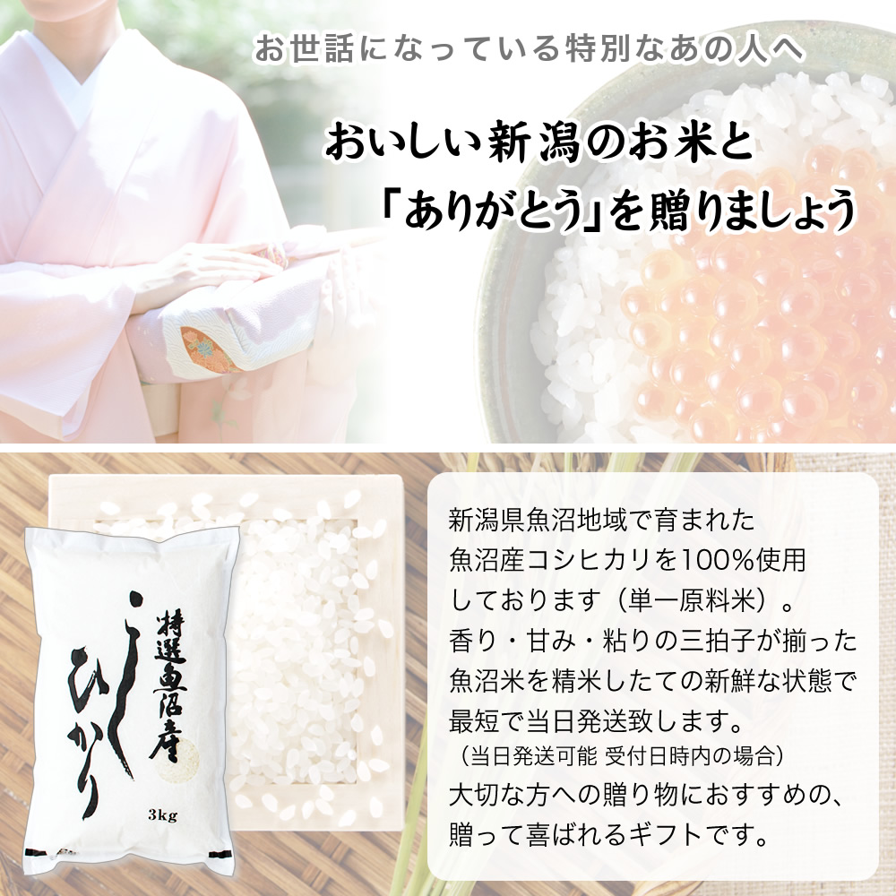 本日限定価格！コシヒカリ3袋セット コシヒカリ 米 ギフト 引っ越し 挨拶 3袋セット 新潟産 コシヒカリ3合
