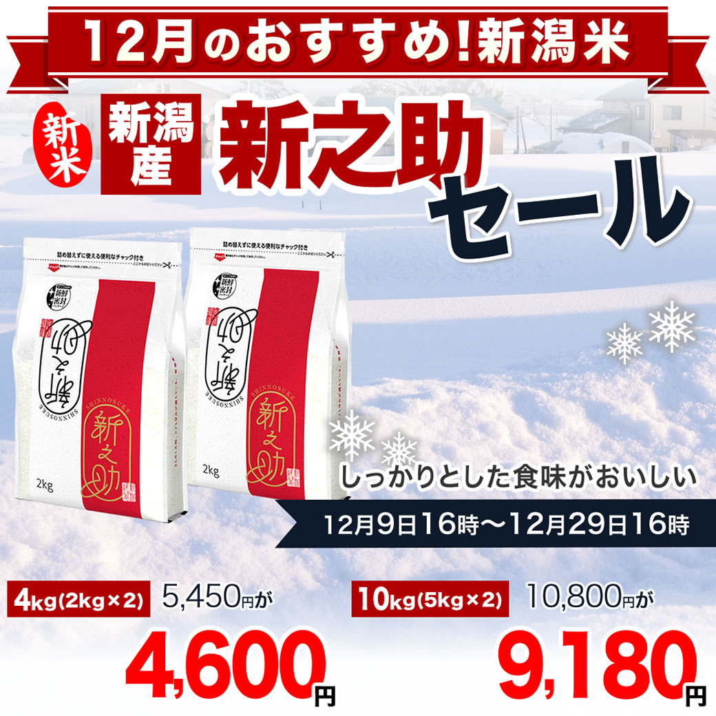新之助（しんのすけ） 新米 令和7年産 新潟産 10kg(2kg×5袋) 米 新鮮